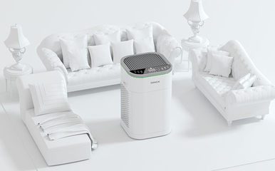 DAGX攜手狄格環(huán)?？萍疾季种袊諝鈨艋鳂I(yè)務