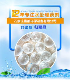 臺州鍋爐歸麗晶價格 公司動態 石家莊盈都環保科技